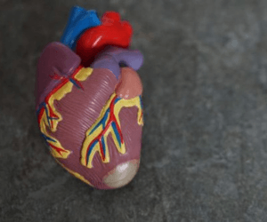 Cardiac Emergencies in the Prehospital Setting